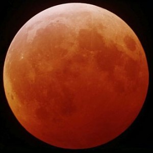 Científicos y aficionados se preparan para observar el eclipse perfecto