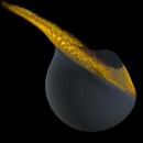 También la Luna tuvo su luna