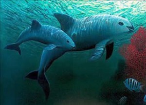 La vida marina sufre estrés adicional por niveles elevados de CO2 en el mar