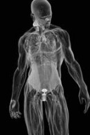 Tecnología Japonesa para un futuro postapocalíptico