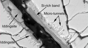 NASA Publica Fotos de Posible Vida en Meteorito
