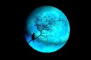 Mañana: Una 'Luna Azul' que no tiene nada de Azul.