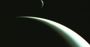 URGENTE: Apareció Niku, el rebelde del Sistema Solar