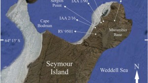 Antártida: Descubren Mamífero Extinto de 50 Millones de Años