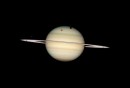 El Hubble capta juntas a las cuatro lunas de Saturno