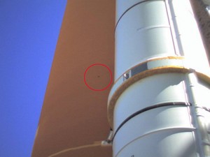 El Murciélago que quiso ser Astronauta