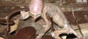 Bulgaria asegura que mantiene contactos con extraterrestres