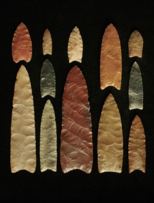 La Extinción de la Cultura Clovis y los grandes animales no fue culpa de un Cometa.