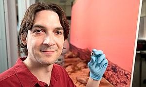 Nuevas pistas sobre el meteorito marciano donde se busca vida